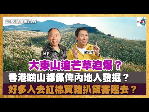 大東山追芒草迫爆？香港啲山都係俾內地人發掘？好多人去紅棉買豬扒飯寄返去？｜為食麻甩騷｜梁家權、班哥