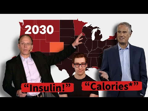 The Cause of Obesity: The Raging Scientific Debate You’ve Never Heard.