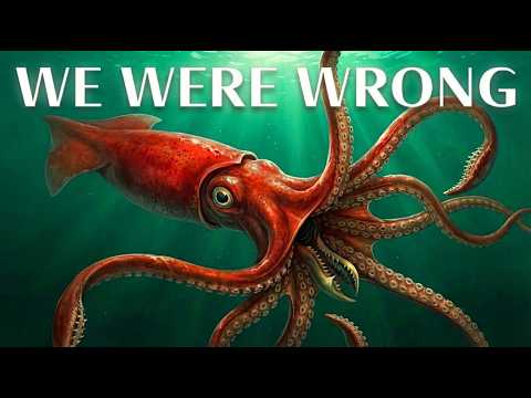 Nothing About Colossal Squid Was Normal… Here's Why
