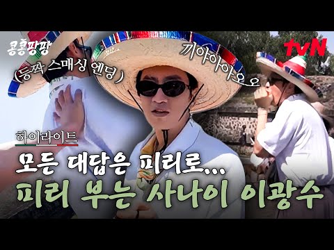 기념품으로 피리 구매 후 모든 대답 피리로 하는 광수ㅋㅋ (ft. 우빈의 등짝 스매싱 엔딩👋) #highlight#콩콩팡팡 EP.3