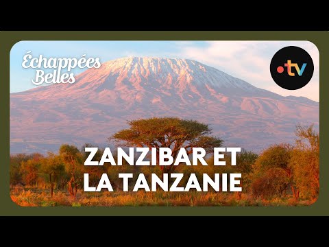 Zanzibar et la Tanzanie - Échappées belles 4K