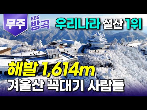 [전북 무주] "감옥이 따로 없다" 매일 다를 것 없는 도시살이에 지쳐 20년 다니던 회사도 무작정 그만두고 산꼭대기 올라간 여자｜덕유산｜국내 여행｜#한국기행 #방방곡곡