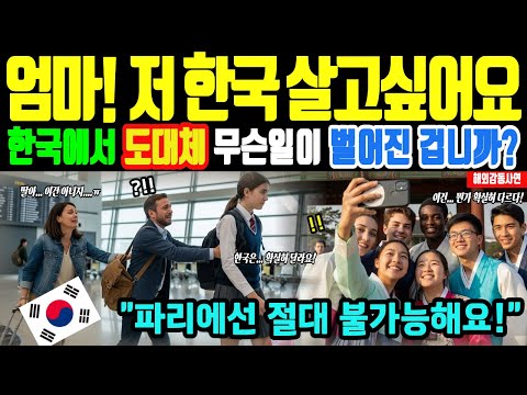 [해외감동사연] 한국 수학여행 온 유럽 학생들 "한국 살고 싶다" 통곡!
