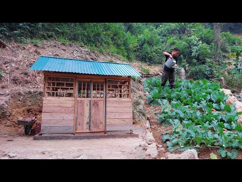 Build a Log Cabin and garden in the forest. Grow vegetables, potatoes - Store food for winter