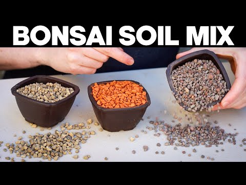 Bonsai Soil for Beginners - Everything You Need To Know
