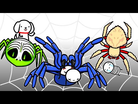 What It's Like To Fight The Deadliest Spiders (Part 2)