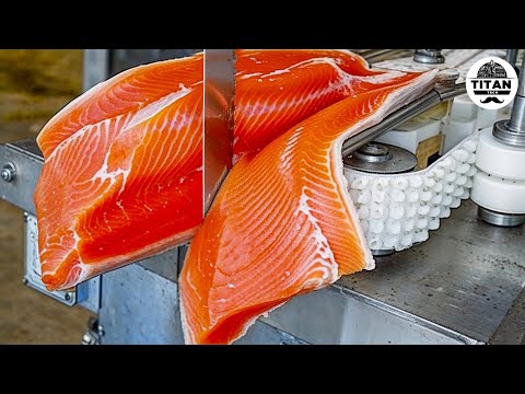 Mind-blowing Machines Operating At An Insane Level | The Most Satisfying Factory Tech! #13