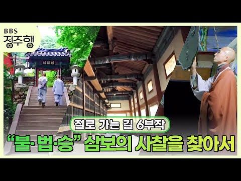 [#정주행] 삼보(불·법·승)의 사찰을 찾아 "절로 가는 길(6부작)" #가을이라더아름다운사찰 #성지순례 #삼보사찰