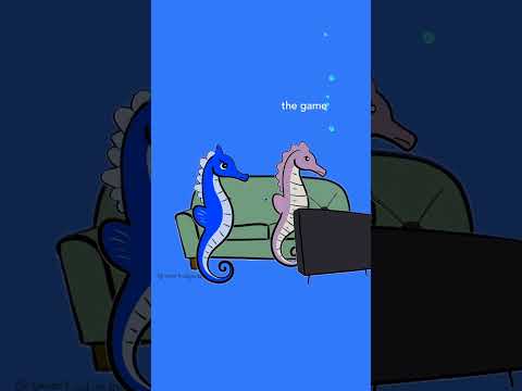 male seahorse activist