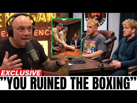 JOE ROGAN EXPLODES on Logan & Jake Paul for SCRIPTING Fights and Ruining Boxing!!