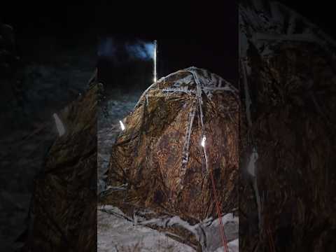 Cooking venison in the hot tent. Check out the full video!