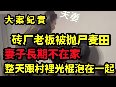 【大案纪实】砖厂老板被抛尸麦田，线索指向合伙人