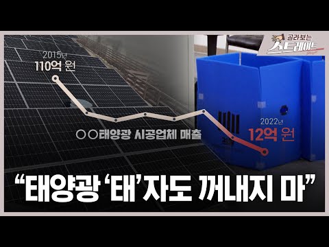 "태양광 '태'자도 꺼내지 마" (3) - 스트레이트 236회 | 골라보는 스트레이트