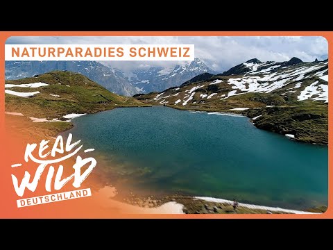 2+ Stunden Schweiz Doku zum Einschlafen