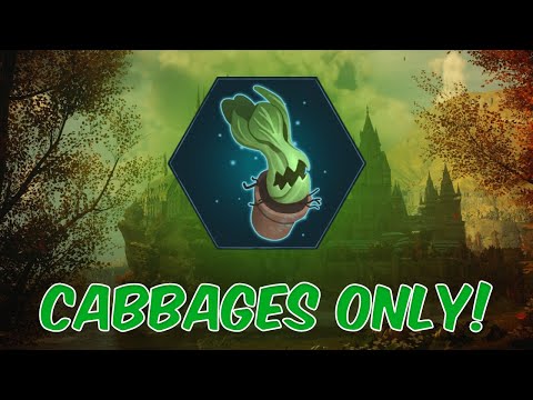 MY CABBAGES!! - Hogwarts Legacy Arenas Challenge