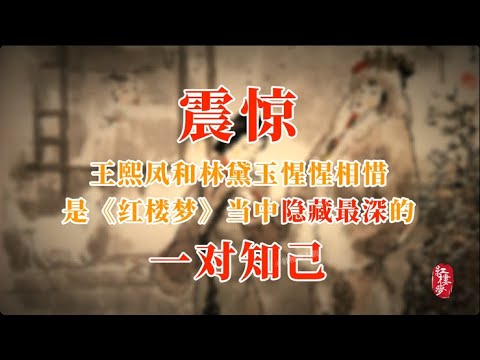 震惊!王熙凤和林黛玉惺惺相惜,是《红楼梦》当中隐藏最深的一对知己 #红楼梦 #红楼梦 #名著 #红学 #名著朗读 #中国古典文学 #文学经典 #世界名著 #清代 #曹雪芹