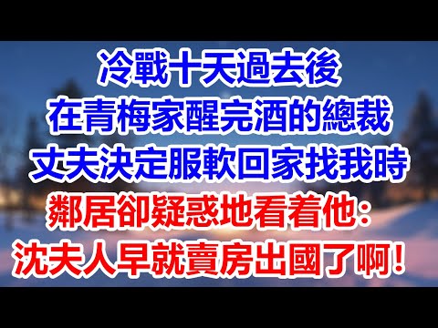 冷戰十天過去後，在青梅家醒完酒的總裁丈夫決定服軟了，回家找我時，鄰居卻疑惑地看着他：沈夫人早就賣房出國了啊！他當場如遭雷劈！#為人處世#生活經驗#情感故事#故事#小說#戀愛#情感#婚姻