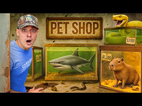 I Found an Abandoned Pet Store
