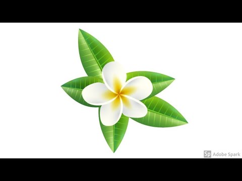 Flower Design Adobe Illustrator Tutorial
