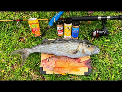 Fishing for Sushi! Catch n' Eat Raw Fish in Hawaii!