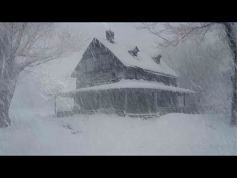 Lonely Mountain House During a Snowstorm | Snow storm sounds while sleeping | Howling wind