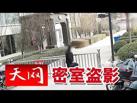 《天网》腊八挑年酒 惊见空箱！地下储藏室的“美酒”何时不翼而飞？ 20251208