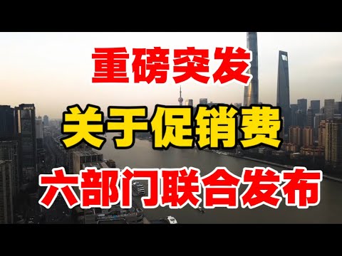 重磅突发！关于促进消费，六部门联合发布！向松祚教授戳破真相！