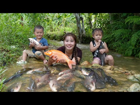 30 Days and nights with my children catching fish, trapping fish on rainy days to sell at the market