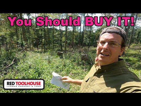 Why You SHOULD Consider Buying Land That Has Been Recently Timbered