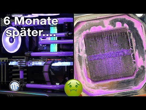 Kriegen wir diese Wasserkühlung wieder SAUBER? Evolv X nach 6 Monaten