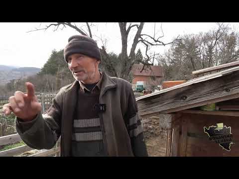 Gotovi ste ljenčine,ako se ne pokrenete,neću imat kome selam nazvat-rano će te preseliti