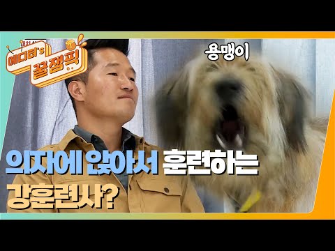 [#개는훌륭하다] 폭풍전야의 팽팽한 긴장감!😶 삽살개 '용맹이' VS 강훈련사 목줄이 풀린 상태에 앉아서 훈련을 하는데... 🐶ㅣKBS 211122 방송