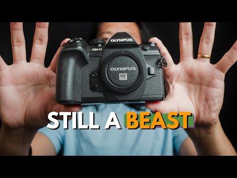 Olympus E-M1 Mark II: The Best Value Camera in 2024
