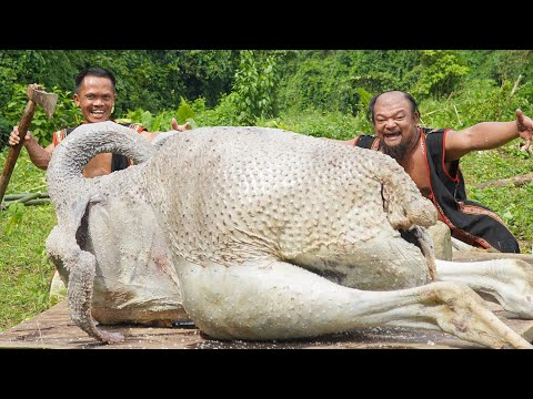 Best Dishes Cooking in the Dwarf Village: Whole Grilled Ostrich, Claypot Fish, Grilled Beef Leg
