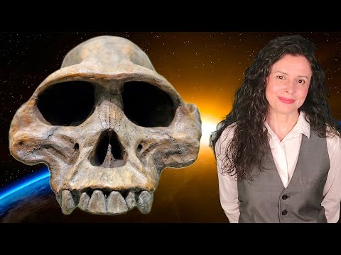 ¿De dónde venimos? El origen de la humanidad quizá te sorprenda