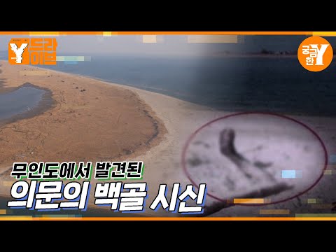 무인도에서 발견된 백골시신 | Y드라이브