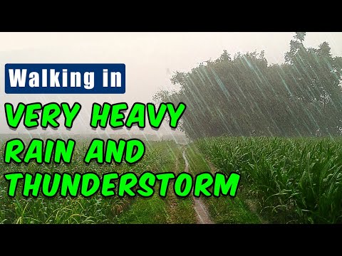Walking in Very Heavy Rain and Thunderstorm at Indonesian Village