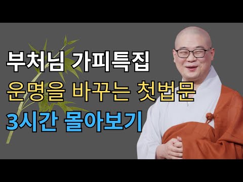 부처님 가피특집｜광우스님 첫법문 & 운명 바꾸는 법｜3시간 몰아보기