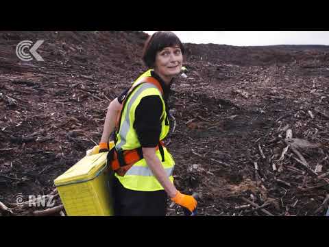 How hard is it to plant trees for a living? Lisa Owen finds out