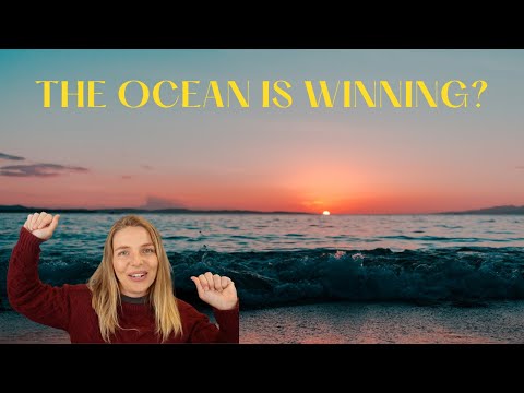 Saving the ocean | Conservation success stories