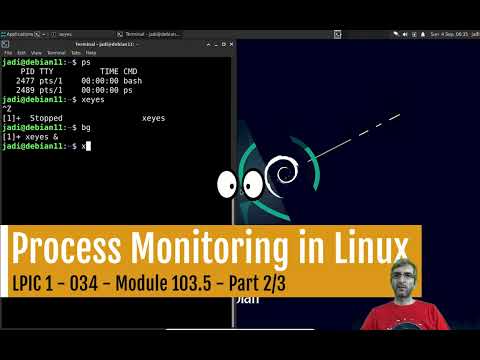 Monitoring Processes in Linux (ps, pgrep, top, free, uptime, ...)