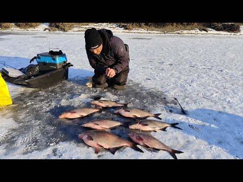 ПОПАВ НА КЛЬОВ КРУПНЯКА ПО ОСТАННІЙ КРИЗІ. Зимова рибалка на ляща