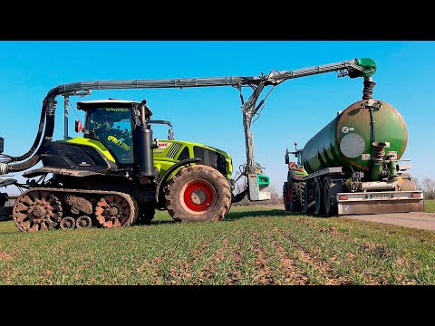 Подкормка озимой пшеницы 2025 г. Трактор CLAAS AXION 960.