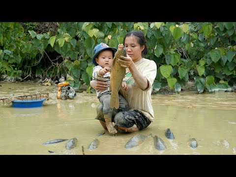 Single mother uses water pump to catch fish in abandoned pond - catches many big fish