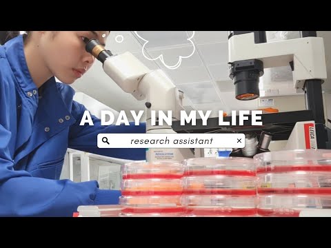 Day in the Life of a Research Assistant in Cambridge (weekend) | bacteria & stem cell culture 🧫