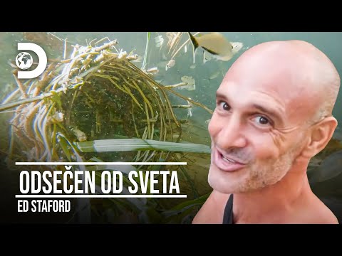 Lovi ribe koristeći termite | Odsečen od sveta / Ed Staford