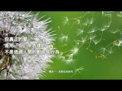 楊定一：你真正的愛是用「在」來表達的，不是透過人間的動作或行為