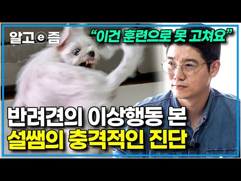 "몹시 어려운 증상이에요" 꼬리만 보면 흥분해 빙글빙글 도는 반려견의 이상행동을 본 설채현의 진단에 충격받은 보호자│세상에 나쁜 개는 없다│알고e즘