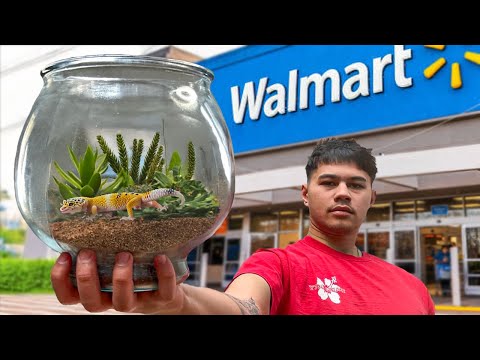The Walmart Ecosystem Challenge