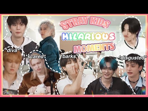 Recent โจHILARIOUSโจ Stray Kids moments that give me joy